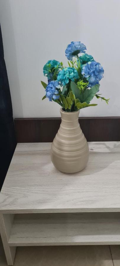 קונסטנצה Seby Studio מראה חיצוני תמונה