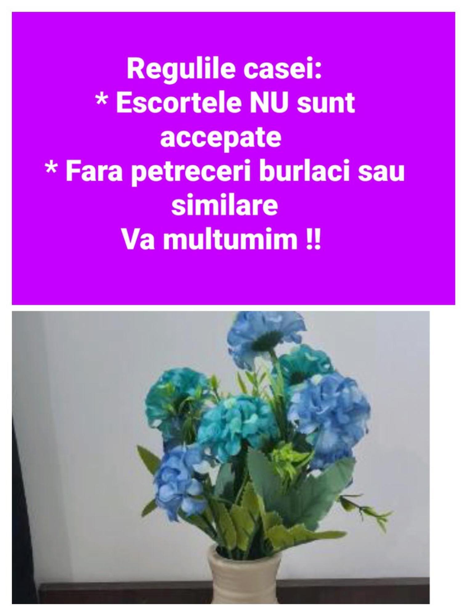 קונסטנצה Seby Studio מראה חיצוני תמונה